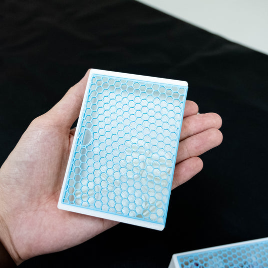 KYOTO NO NEKO น้องเหมียวเที่ยวเกียวโต : CAT BASKET ตระกร้าเหมียวเหมียว